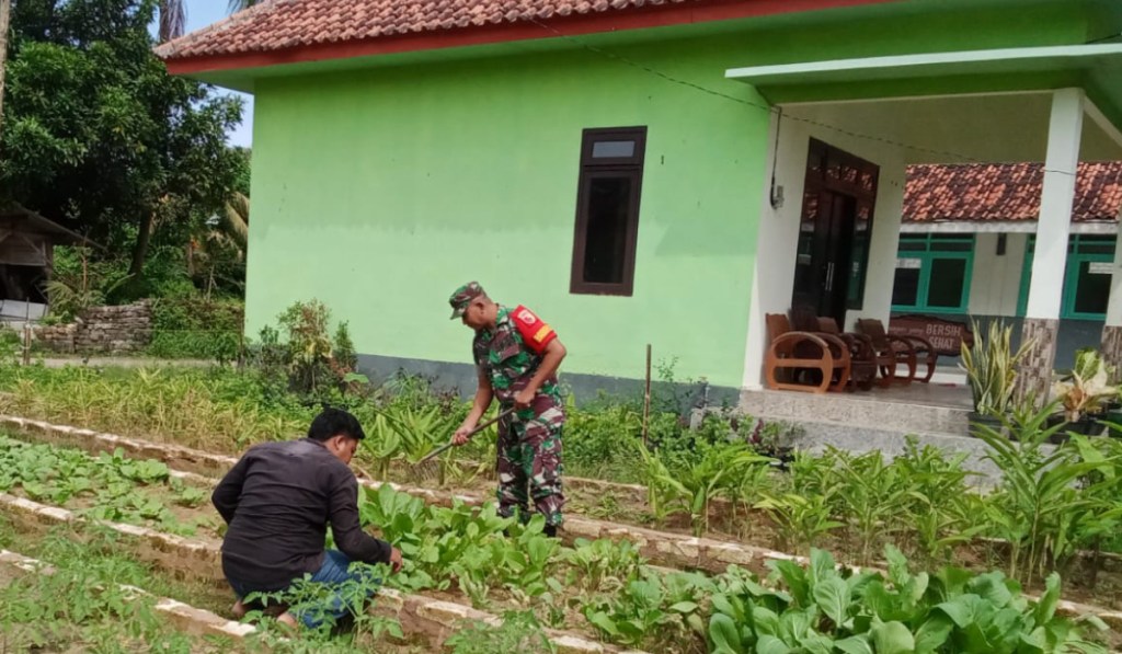 Babinsa Bantu Petani Bersihkan Rumput Di Lahan Sayur di Desa Manding